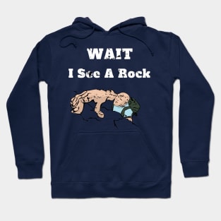 Wait I See A Rock Geology Fan Gift Hoodie